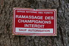 panneau d'interdiction dans le morvan