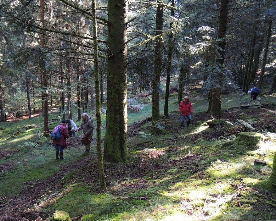 Sortie dans le Morvan
