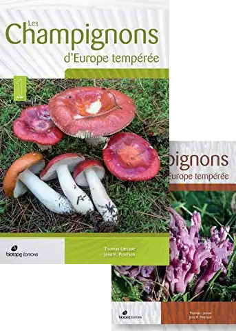 couverture de Champignons d’Europe tempérée couverture de Champignons d’Europe tempérée